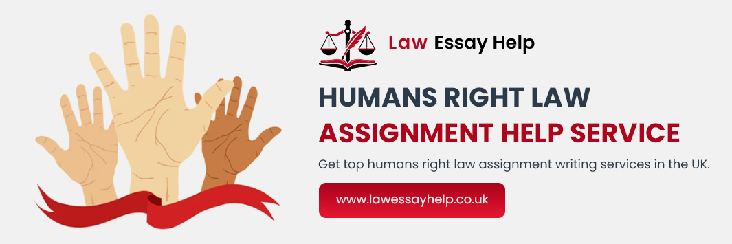 Human Rights Law Assignment Help Service