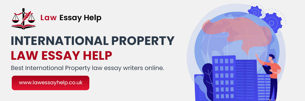 International Property Law Essay Help